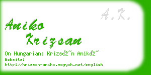 aniko krizsan business card